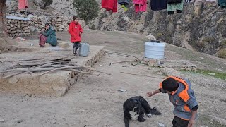 Inside Iranian Nomadic Life A Day with Traditional Nomad Families  Cultural Journey [upl. by Eniluqcaj]