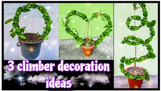 3 climber decoration ideasmoney plantkunjalataaparajita plant decoration ideasyoutubeytstudio [upl. by Fira318]