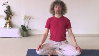 30 Minute Class  Sun Salutations Pranayama Meditation [upl. by Iew]