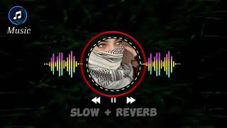 Tu Sadi Majboori hn  New Saraiki Song 2024  Slow and Reverb  Malkoo  Sara Altaf [upl. by Irakuy952]