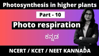 Photosynthesis in higher plants Part 10  Photorespiration biologyinkannada 1stpuc pcmb [upl. by Jyoti462]