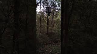 New Moultrie Feeder Up [upl. by Mohn772]