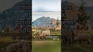 Ezequiel 3431 frasesdabíblia reflexão deus motivacional prosperidade frasesedificantes fé [upl. by Abehsile]