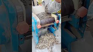 Sunflower seed shell separator Good tools and machinery can increase work efficiency [upl. by Kim441]