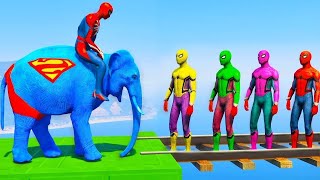 Long Slide Game With Elephant Gorilla Buffalo Hippopotamus Tiger  3d Animal Game  Funny 3d Animals [upl. by Ajet]