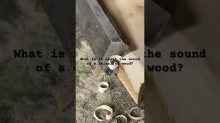 Why is the sound of a chisel so satisfying woodcarving chisel [upl. by Kylander170]