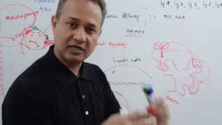 immunology lecture 12 part 4 Immunoglobulins [upl. by Attey380]