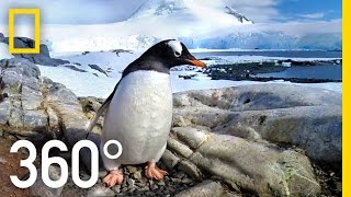 360° Antarctica  Journey Through The Ice  National Geographic [upl. by Yetak]