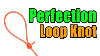 Perfection Loop Knot  Strong Easy Leader To Line Loop Knot  Best Fishing Knots [upl. by Waldemar]