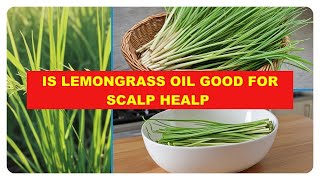 From Dandruff to Shine Why Lemongrass Oil is a Game Changer for Your Hair [upl. by Anhavas]