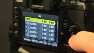 olympus e420 camera settings and controlsmpg [upl. by Irb]