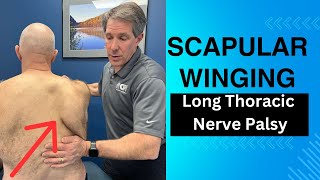 Winging Scapula  Long Thoracic Nerve Palsy Exam [upl. by Ayisan]