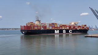 MSC Micol 17th Aug 2024 [upl. by Frankel]