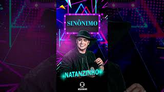 SINÔNIMO  NATANZINHO LIMA natanzinho natanzinholima sinônimos musica flyer sofrencia [upl. by Feldstein]