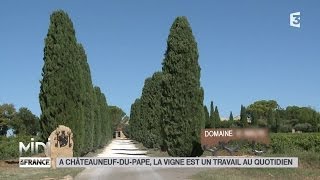 LE FEUILLETON  À ChâteauneufduPape la vigne est un travail au quotidien [upl. by Danelle866]