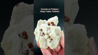 Garnet Crystals on Feldspar Shigar Valley GilgitBaltistan Pakistan [upl. by Aivin]