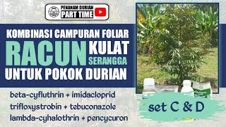 Kombinasi Racun Serangga Dan Racun Kulat Set C amp D Untuk Durian [upl. by Claire]