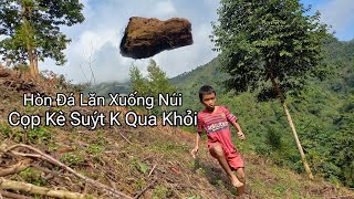 Núi Đá Sập Khi Cọp Kè Và Tuyền Vlog Đi lấy Củi [upl. by Lairbag]