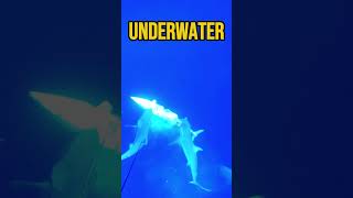 🦈 Spearfishing Gone Wrong Sharks Steal the Catch shorts fishingvideo shark [upl. by Salocin]