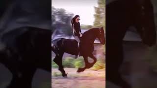 Horse riding girl so elegant [upl. by Ravert]