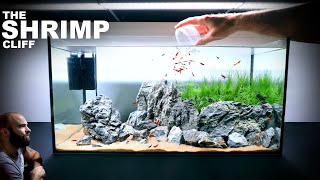 The Shrimp Cliff NEW Shrimp Setup for Neocaridina Aquascape Tutorial [upl. by Cosma]