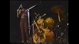 The Brides of Funkenstein FULL SHOW 3181979 Houston [upl. by Ayhtak]