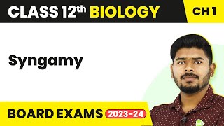 Syngamy  Reproduction in Organisms  Class 12 Biology Chapter 1 NCERTNEET 202223 [upl. by Folger]