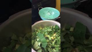 Trinidad and Tobago Callaloo [upl. by Yelsnia13]