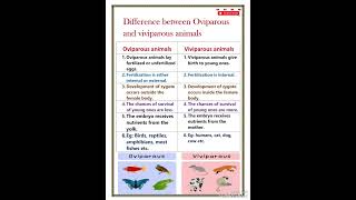 Difference between oviparous and viviparous animals [upl. by Ahsiuqel]