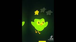 Duolingo TikTok edits [upl. by Slotnick]