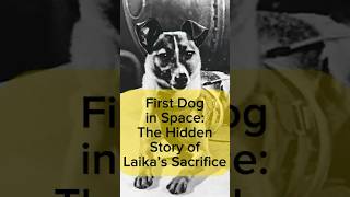 Laika The First Hero of Space  A Tale of Sacrifice laika sputnik firstdog [upl. by Akeit434]