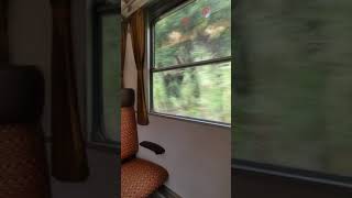 Inside of Schindler Carriage Douro Line Portugal 2022 [upl. by Gerstner]