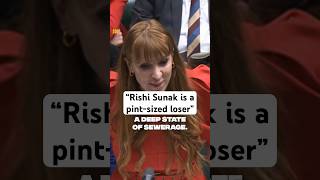 Angela Rayner absolutely bodies Rishi Sunak at PMQs [upl. by Alegnaoj]