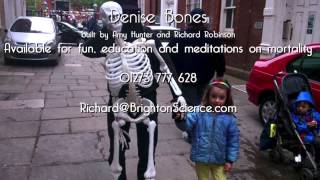 Denise Bones anatomically correct properly dead skeleton puppet [upl. by Akimrehs]