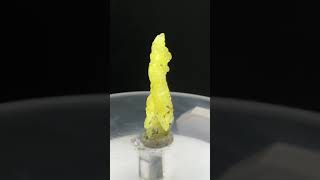 Rare 16 ct Brucite specimen from Balochistan Pakistan for 16 viral trending shortvideo [upl. by Yreffej]