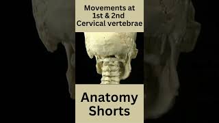 Atlanto occipital joint amp Atlanto axial joint anatomy mbbs neet osteology bds bpt shorts [upl. by Stanton251]