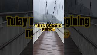 Taiping Suspension Bridge taiwantrending shorts viralvideo youtubeshorts [upl. by Goldy]