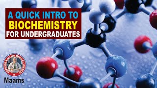 Introduction to Biochemistry for Undergraduates Maams [upl. by Yblehs347]