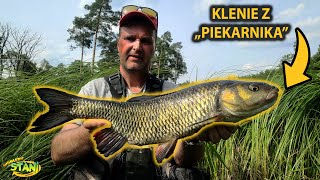 Klenie z piekarnikaquot [upl. by Buyers]