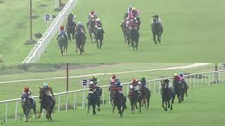 THE GREY GERANIUM with A R Pradeep up wins The Royal Calcutta Turf Club Trophy Div2 2024 RACE 97 [upl. by Lenoyl]