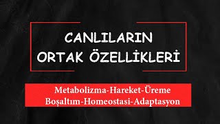 Canlıların Ortak Özellikleri 2 [upl. by Aetnahs625]