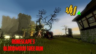 Runescape 3 Bloodwood Tree Run Guide Easy GP 2020 [upl. by Amikay869]