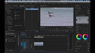 Install CineStyle Lut in Premiere Pro [upl. by Oiludbo107]