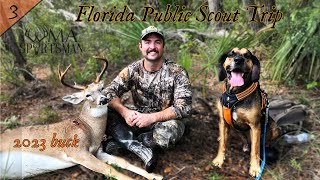 Scouting for a Quota Hunt  WMA Hunting  Florida Public Land [upl. by Adyl]