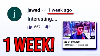 Jawed Posted A NEW Comment On YouTube why [upl. by Maye843]