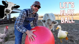 Playing Ball With Farm Animals Fun [upl. by Ycnuahc]