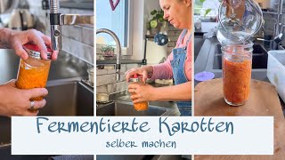 Karotten fermentieren  Probiotisches Powerfood  Gesundes für den Darm [upl. by Aynatal305]