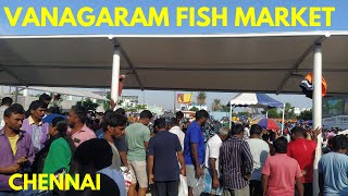 Chennai Vanagaram Fish Market  part 4 [upl. by Rosenthal953]