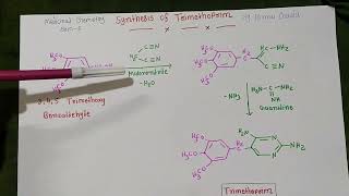 Synthesis of Trimethoprim ll Medicinal Chemistry ll sem 6 [upl. by Akenom]