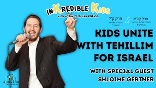 Tehillim For Israel With Shloime Gertner [upl. by Ecirtaeb]